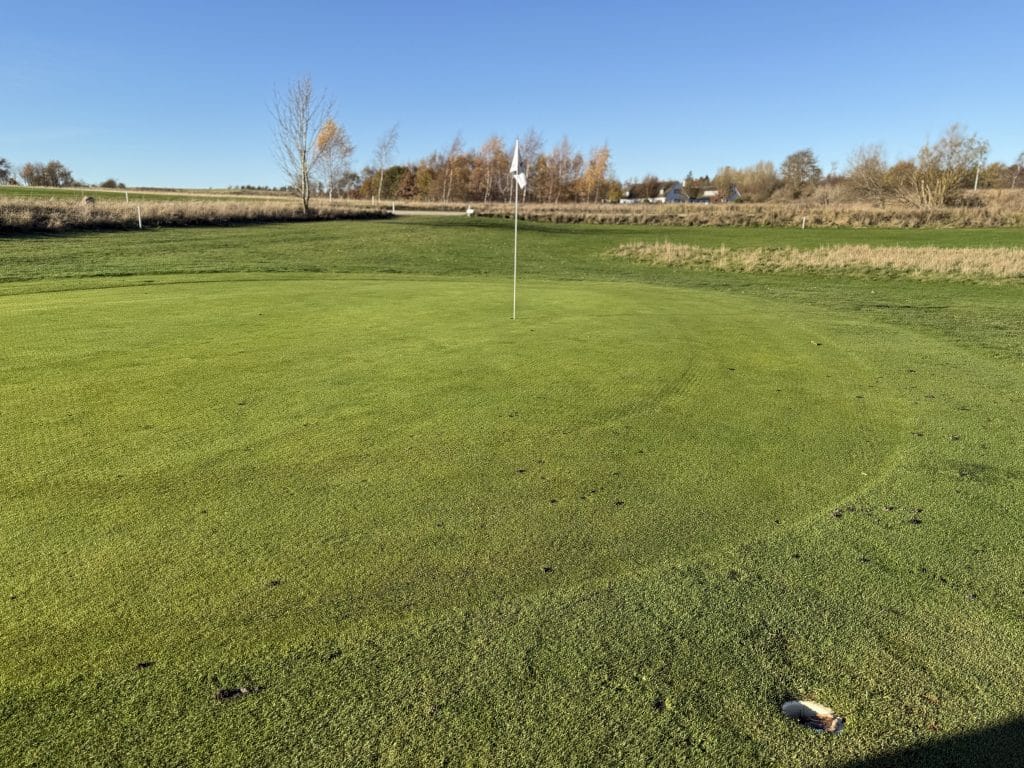 IMG 2191