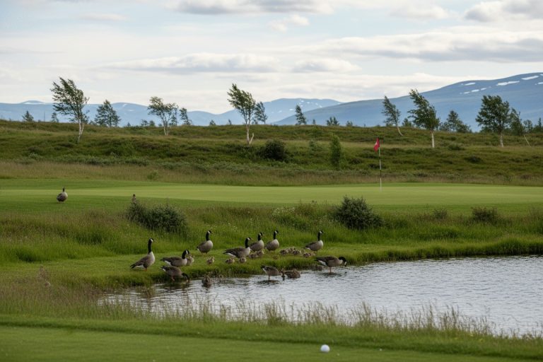 fugleliv p golfbanen