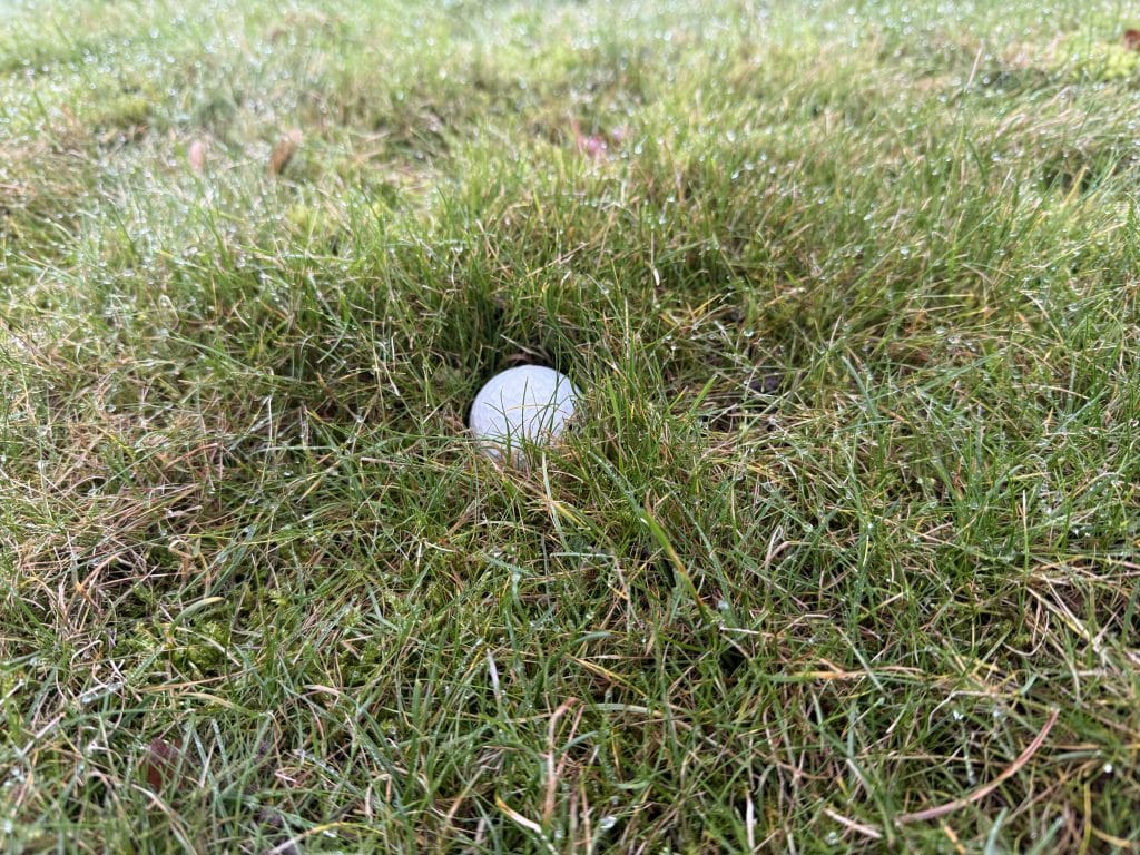 IMG 2368
