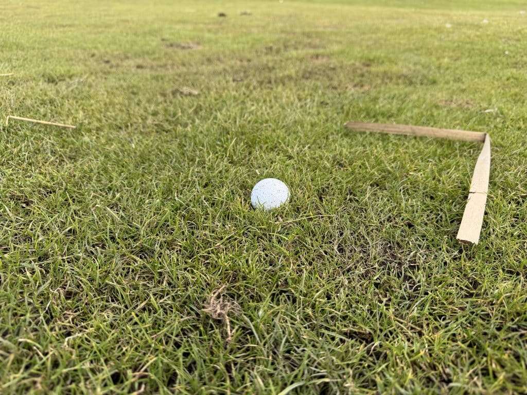 IMG 2739