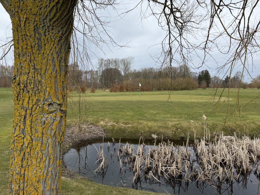 Passebækgaard Pay & Play 2026 Golfstart.dk IMG 3008
